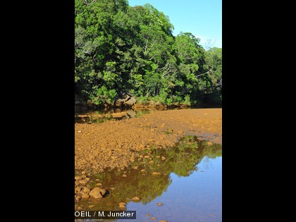 L'OEIL a été informé le 7 mai 2014 d’une acidification du creek de la baie Nord, situé en aval du site industriel et minier de Vale NC.