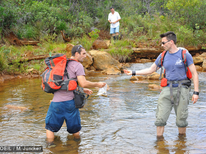Depuis la zone située juste en amont de l’estuaire jusqu’à une station proche du site industrielle, des organismes, vertébrés et invertébrés ont été retrouvés morts.