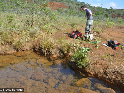 Des analyses physico-chimiques ont été réalisées sur le creek.
