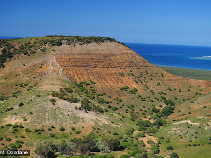 La forêt sèche est considérée comme le milieu naturel le plus menacé d’extinction et comme l’une des priorités pour la conservation de la biodiversité en Nouvelle-Calédonie.