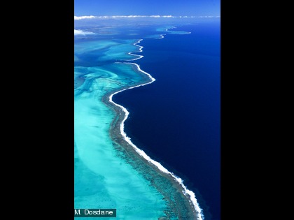 La Grande Terre est entourée par une barrière de corail de plus de 1 500 km de long. 