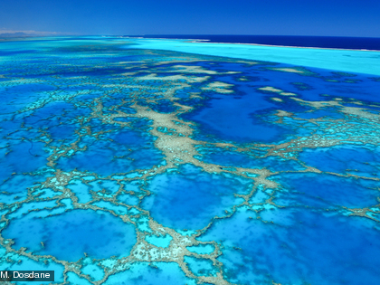 En province Sud, les récifs occupent environ 2000 km².