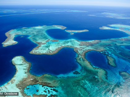 En Nouvelle-Calédonie, on compte environ 4 500 km² de récifs, dont il est souvent admis qu’ils sont en bon état de conservation.