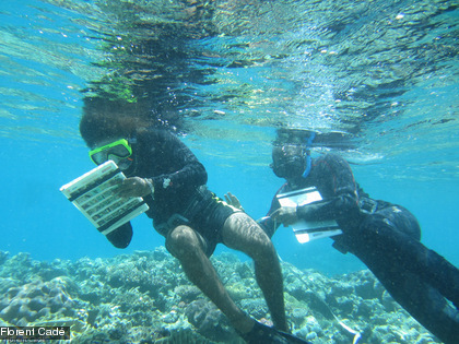 Les bénévoles notent ensuite leurs observations sur leur fiche de résultats.