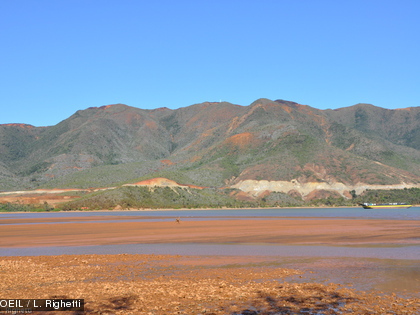 Pour le volet environnement de cette nouvelle édition du carrefour des jeunes, l'aire coutumière Drubéa Kapüme a invité l'OEIL à animer des ateliers sur l'environnement.