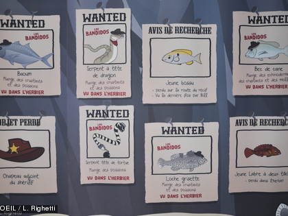 Et noubliez pas d'ouvrir l'oeil... des jeux sont à votre disposition tout au long du parcours.