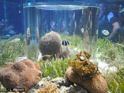 Glissez-vous dans la cabine, au milieu du bassin, pour observer au plus près la faune et la flore de l'herbier.