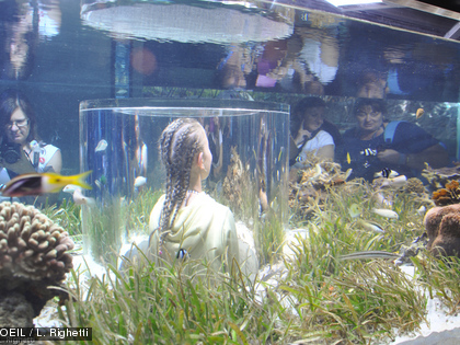 Glissez-vous dans la cabine, au milieu du bassin, pour observer au plus près la faune et la flore de l'herbier.