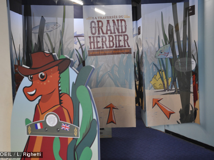 L'Aquarium des Lagons vous invite ensuite à explorer ce milieu naturel particulier pendant la traversée du grand herbier.