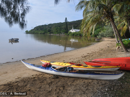 Dimanche matin, les kayaks se préparent à faire le tour de l'île avec à leur bord les sportifs du week-end. 