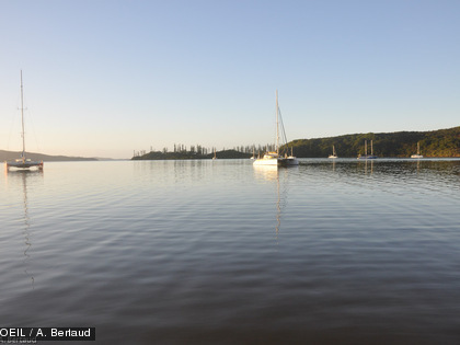 Les bateaux sont déjà prêts à emmener les visiteurs en excursions, en espérant bien croiser des baleines.